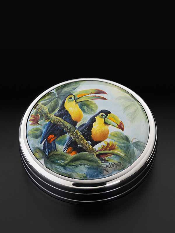 Keel Billed Toucans