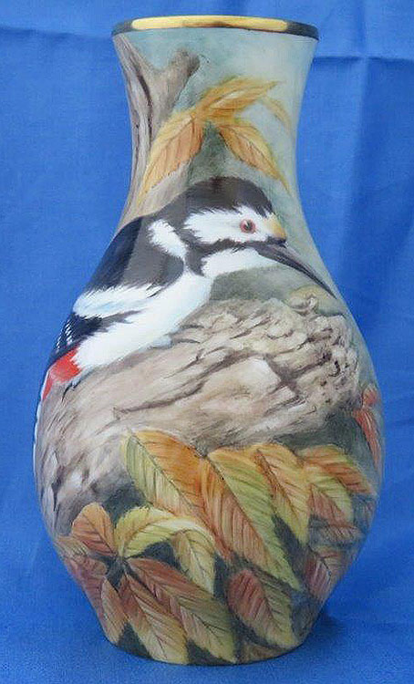 Great Spotted Woodpecker