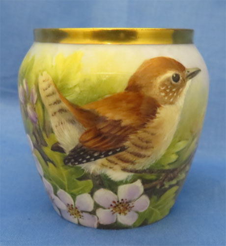 Great Spotted Woodpecker