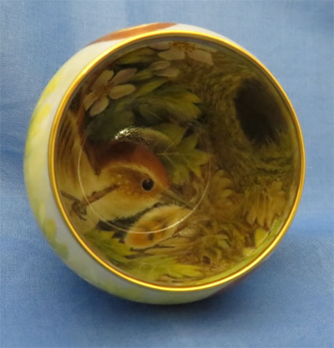 Great Spotted Woodpecker